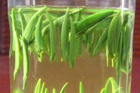 竹葉青和毛尖的區(qū)別，毛尖和竹葉青怎么分辨？