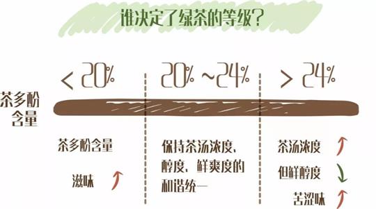 什么綠茶口味重口感濃郁，口味比較重的綠茶都有那些？