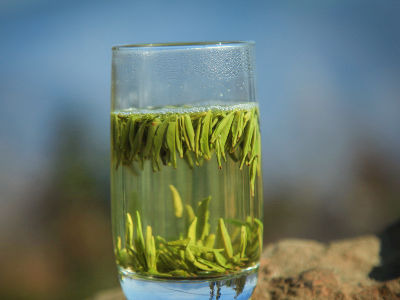 竹葉青茶怎么樣，檔次較高味道略苦價格比較貴