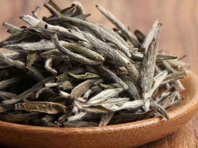 白茶有哪些品種排名，<a href=http://m.zcf58.com/fenlei/baicha/ target=_blank class=infotextkey>白茶的種類</a>大全