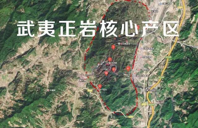 武夷山為什么盛產(chǎn)茶葉，武夷山茶為什么好喝？