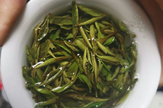 什么人不能喝白茶，白茶不宜什么人喝？