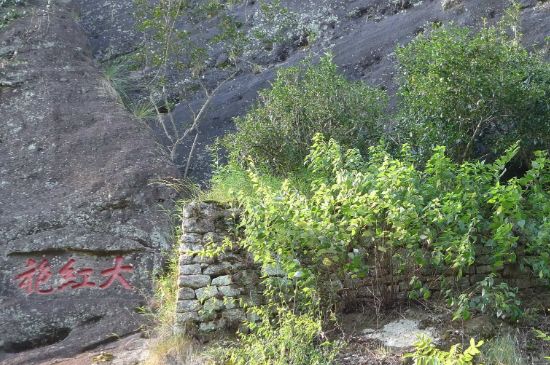 母樹大紅袍給誰喝了，為什么母樹大紅袍叫三棵六株？