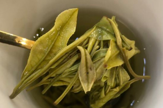 新舊白茶怎么區(qū)分，怎么分辨白茶是新還是舊