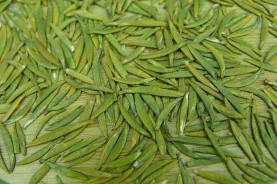 竹葉青和毛尖的區(qū)別，毛尖和竹葉青怎么分辨？