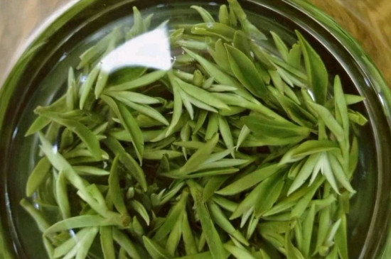 什么綠茶茶葉唇齒留香，哪個品種綠茶香氣好？