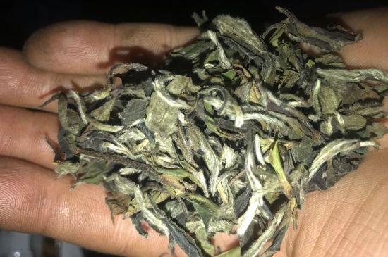 7年壽眉和2年白牡丹哪個(gè)好，老白茶壽眉與白牡丹的口感區(qū)別