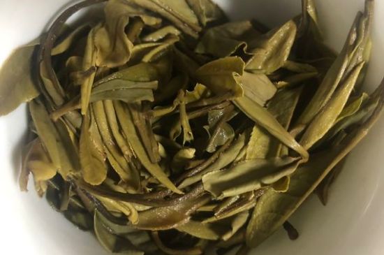 三年白茶賽砒霜，這是真的嗎？