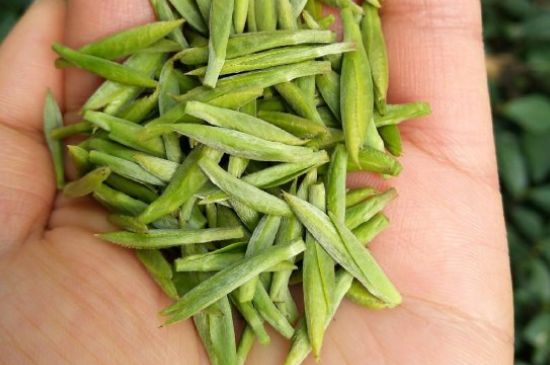 什么綠茶味道濃香，那個綠茶比較濃香？