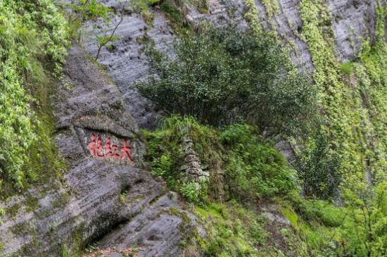 大紅袍為什么沒保質(zhì)期，武夷巖茶大紅袍能放幾年？