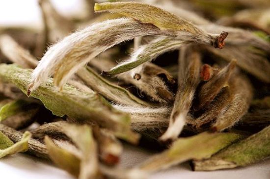 荒野銀針有什么特點(diǎn)，荒野銀針的味道口感咋樣？