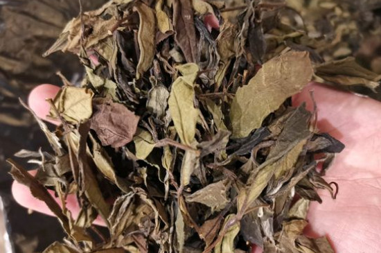 新舊白茶怎么區(qū)分，怎么分辨白茶是新還是舊
