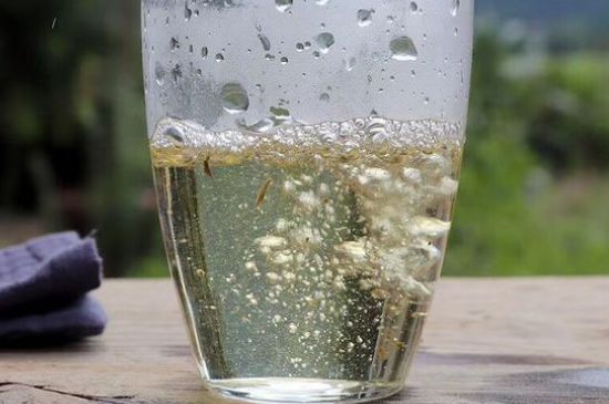 三年白茶賽砒霜，這是真的嗎？