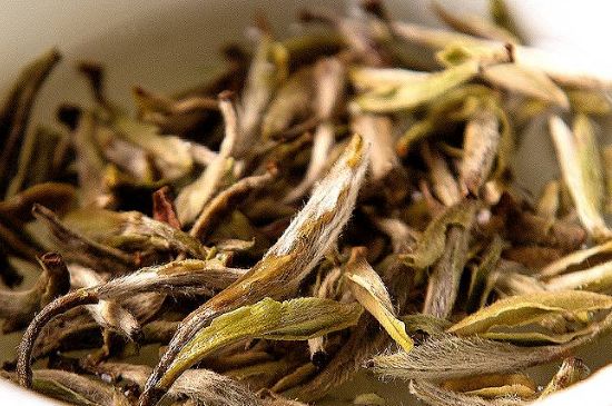 荒野銀針市場(chǎng)價(jià)多少，真正的荒野白毫銀針多少錢？