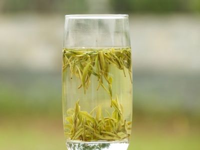 霍山黃芽算是好茶嗎，霍山黃芽屬于什么茶？