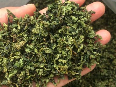 鐵觀音毛茶茶?？梢耘菟葐幔F觀音帶梗是不是好茶？