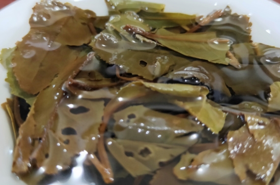 白茶三年為藥七年為寶的原理，為什么說一年茶三年藥七年寶？