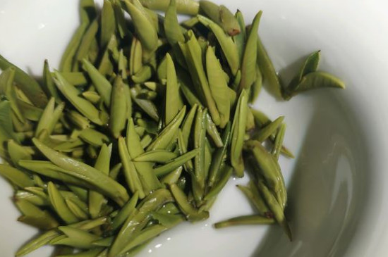 竹葉青茶怎么泡，竹葉青如何沖泡