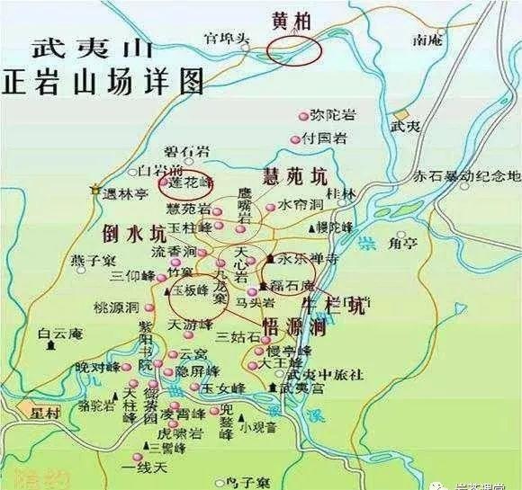 肉桂茶和大紅袍哪個貴，武夷山肉桂與大紅袍的價格比較